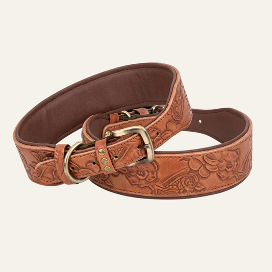 Saddlelock™ Dog Collars